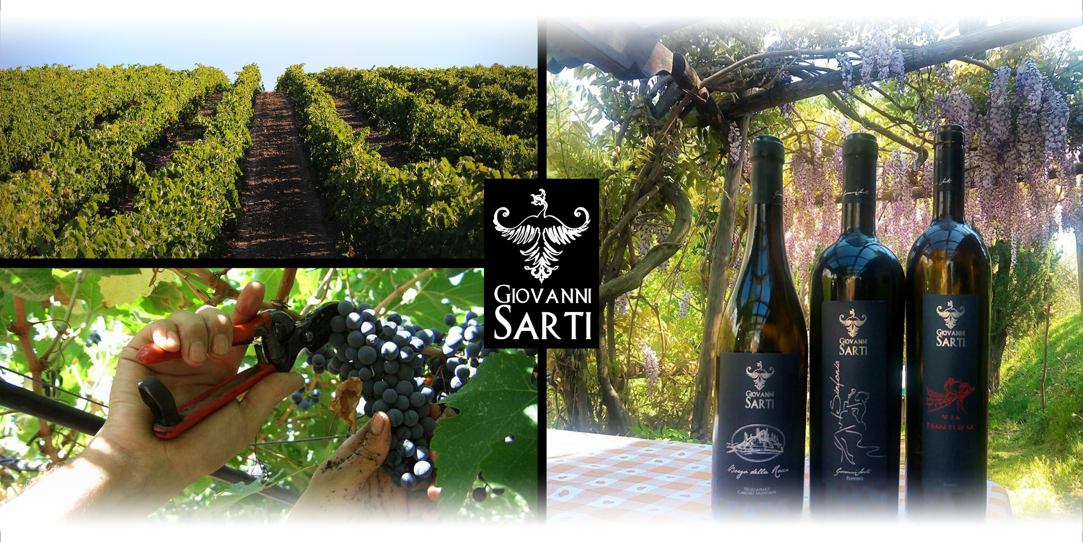 Advertising Wine World Expo Paris